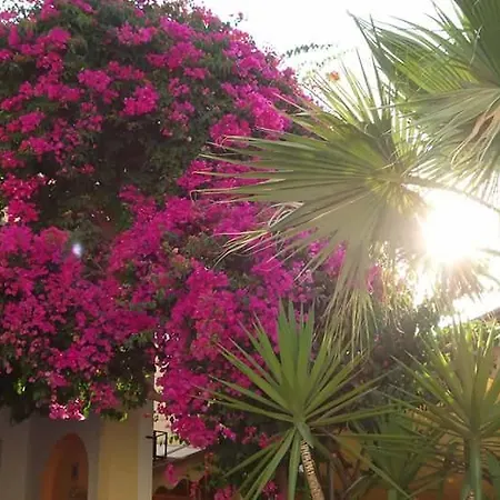 Sweetmemory Agia Marina (Aegina)
